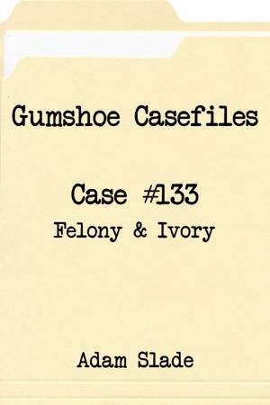 Book cover of Gumshoe Casefiles: Case 133