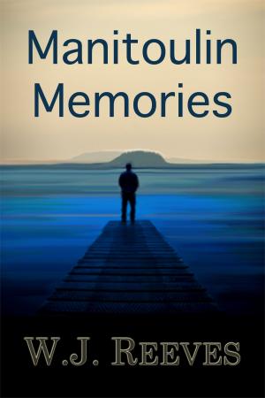 Cover of the book Manitoulin Memories by Rituraj Anand