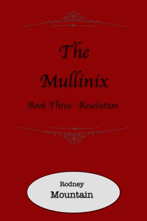 Cover of the book The Mullinix Book 3: Resolution by Bradin Hammon