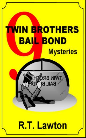 Book cover of 9 Twin Brothers Bail Bond Mysteries