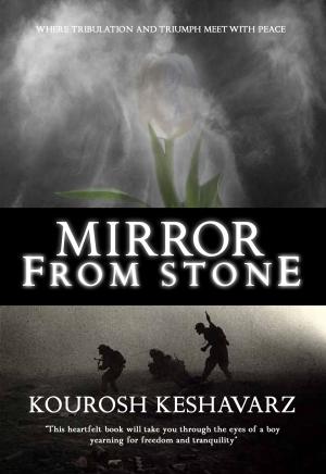 Cover of the book Mirror From Stone by Peter Steele