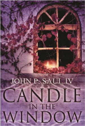 Book cover of Candle In The Window