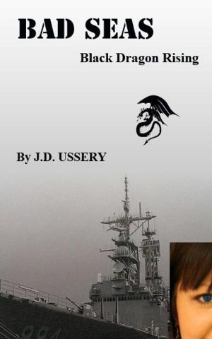 bigCover of the book Bad Seas: Black Dragon Rising by 