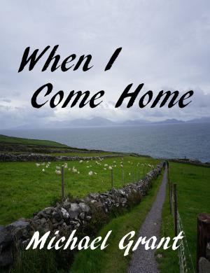 Book cover of When I Come Home