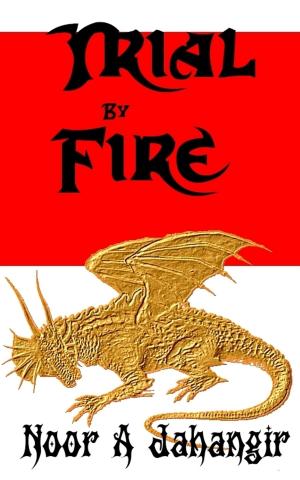 Cover of the book Trial by Fire by Casey S Townsend