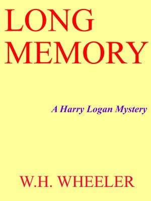 Cover of the book Long Memory by Robert C. Frink