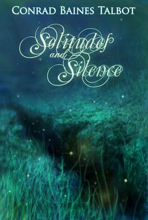 Cover of the book Solitudes and Silence by C. James Leone