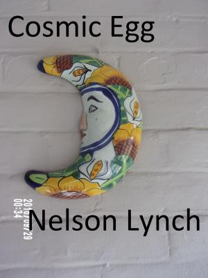 Book cover of Cosmic Egg
