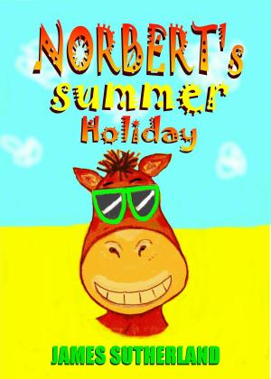 Book cover of Norbert's Summer Holiday