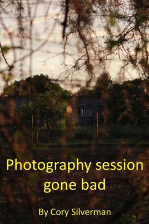 Cover of the book Photography session gone bad by Molly Hogan
