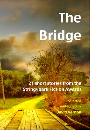 Book cover of The Bridge: 21 Short Stories from the Stringybark Fiction Awards