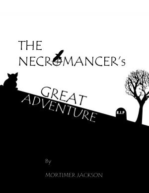 Book cover of The Necromancer's Great Adventure