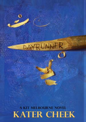Book cover of Dayrunner