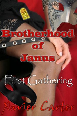 Cover of Brotherhood of Janus: First Gathering