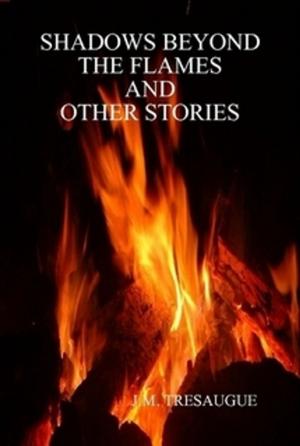 Cover of the book Shadows Beyond The Flames and Other Stories by Nick Frampton