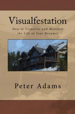 Cover of the book Visualfestation by Sean Sullivan