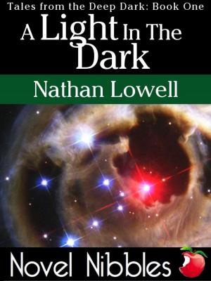 Book cover of A Light In The Dark