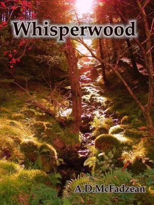 Cover of the book Whisperwood by Stephen Colegrove