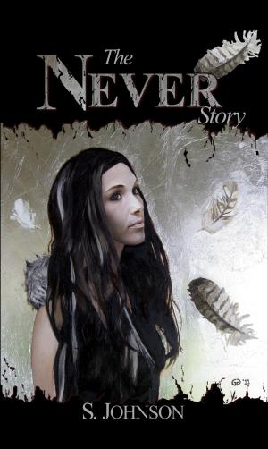 Cover of the book The Never Story by D.L. Gardner