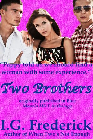 Cover of the book Two Brothers by Heather Macallister
