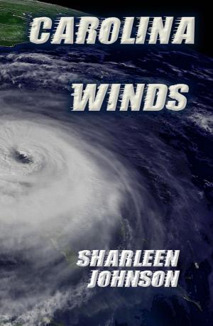 Book cover of Carolina Winds