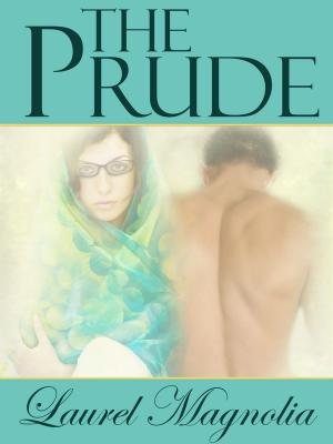 Cover of the book The Prude by Daniel J. Black