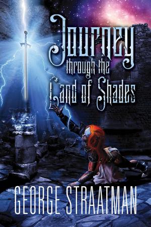 Cover of the book Journey through the Land of Shades by Kristine Overbrook