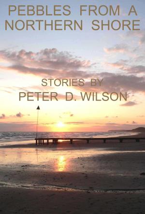 Book cover of Pebbles from a Northern Shore