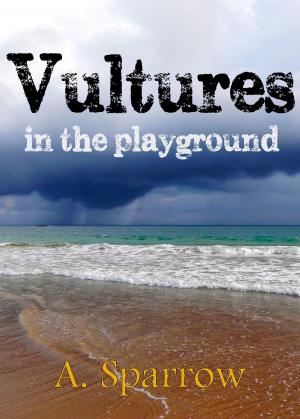 Book cover of Vultures in the Playground