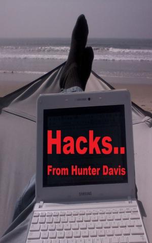 Book cover of Hacks..