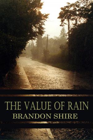 Cover of the book The Value of Rain by Brandon Shire