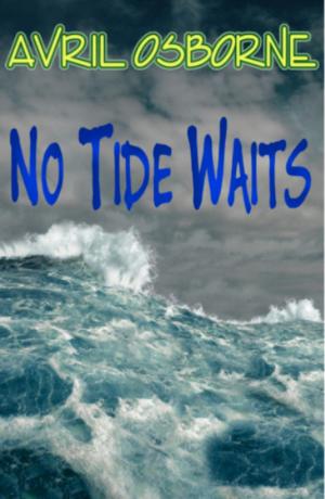 Cover of No Tide Waits