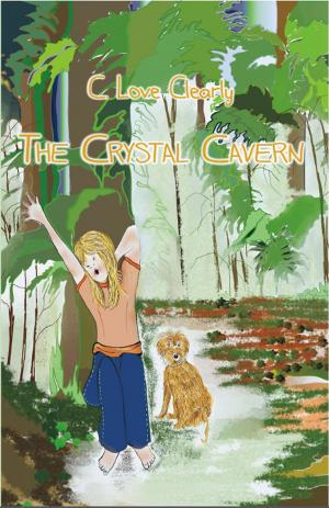 Cover of the book The Crystal Cavern by Karim Pieritz