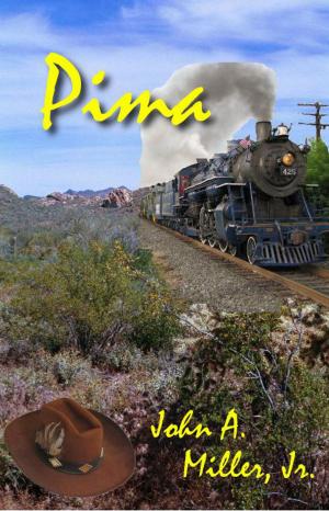 Cover of the book Pima by John Miller