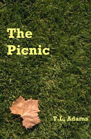 Cover of the book The Picnic by Pauline O`Brayn