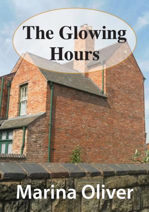 bigCover of the book The Glowing Hours by 