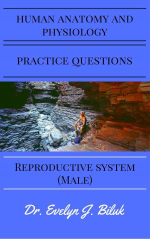 Book cover of Human Anatomy and Physiology Practice Questions: Reproductive System (Male)