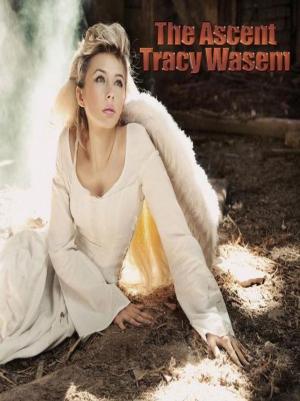 Cover of the book The Ascent by Stephanie A. Mayberry