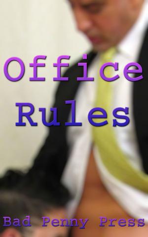 bigCover of the book Office Rules by 