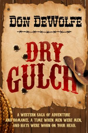 Cover of the book Dry Gulch by Matthew Turner