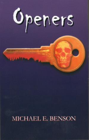 Book cover of Openers