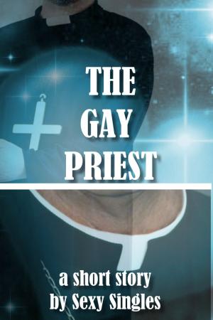 Cover of the book The Gay Priest by Dea Divi