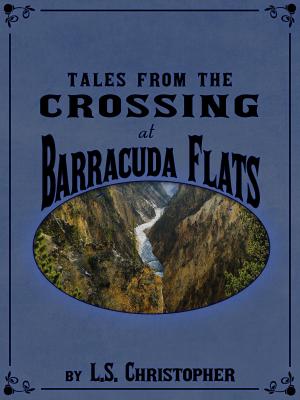 Book cover of Tales from the Crossing at Barracuda Flats