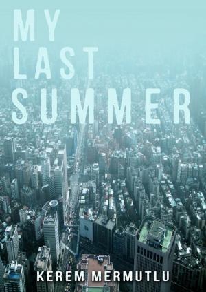 Cover of the book My Last Summer by Michael B Jones