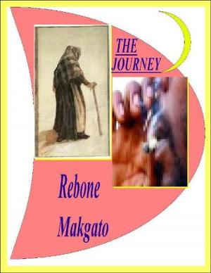 Cover of the book The Journey by Merlin Taylor