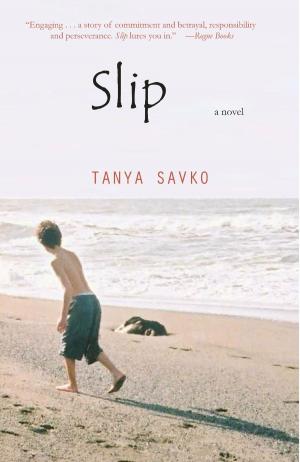 Cover of the book Slip by Shane Greenhough