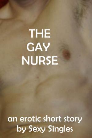 Book cover of The Gay Nurse