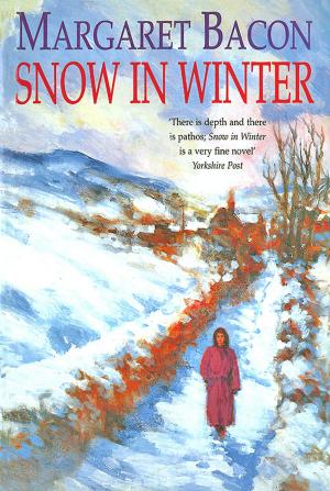 Book cover of Snow in Winter