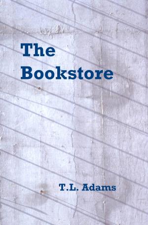 Cover of the book The Bookstore by Nicole Willard
