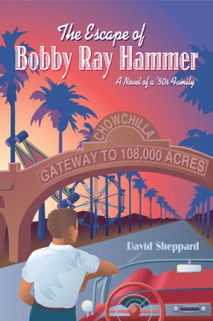 Cover of The Escape of Bobby Ray Hammer, A Novel of a '50s Family